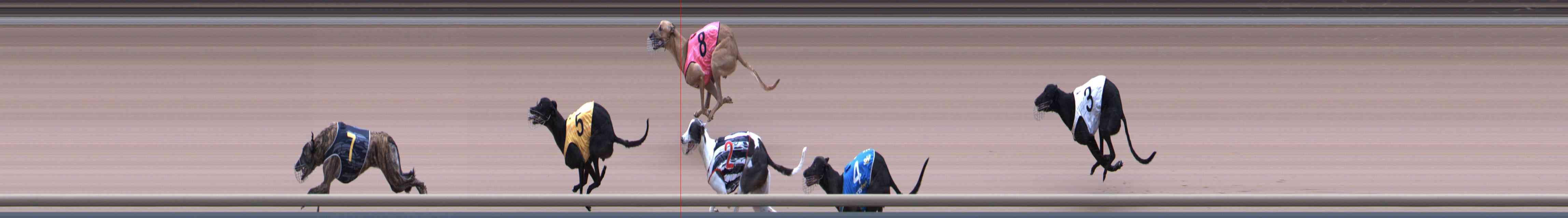Photo finish for Healesville Race 8