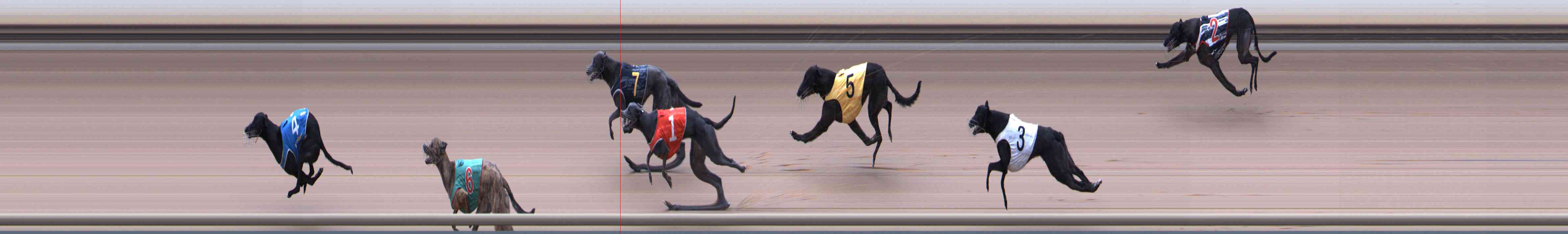 Photo finish for Healesville Race 9