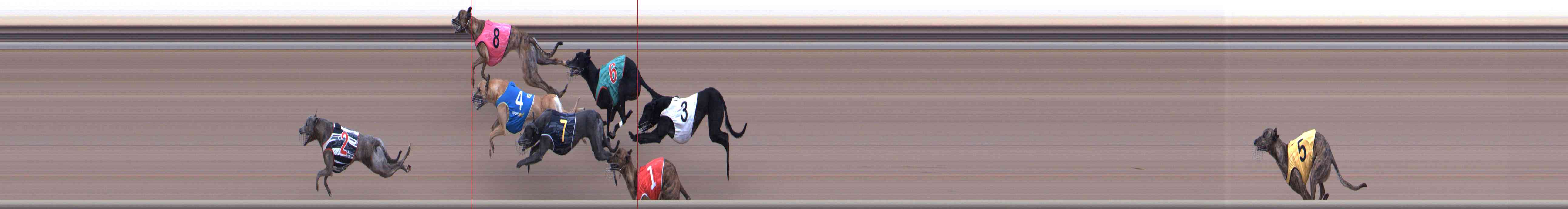 Photo finish for Healesville Race 10