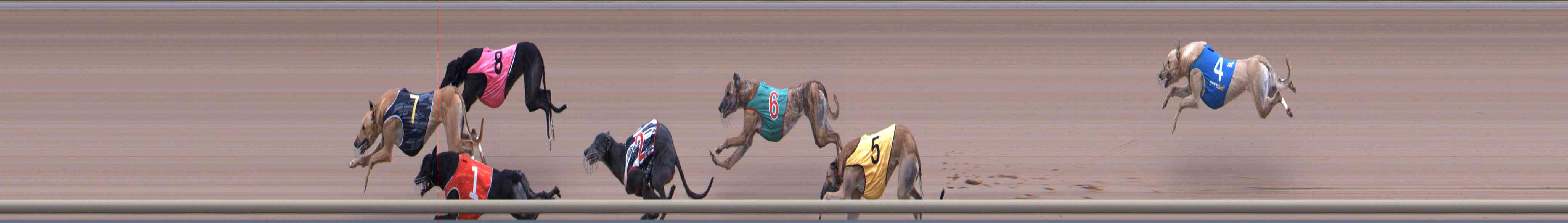 Photo finish for Healesville Race 11