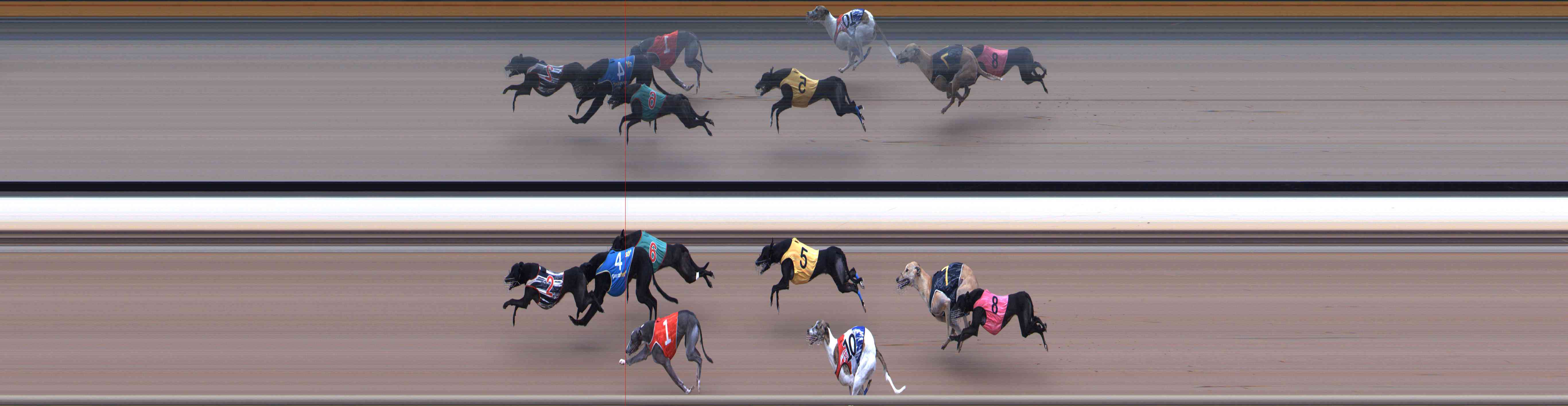Photo finish for Healesville Race 12