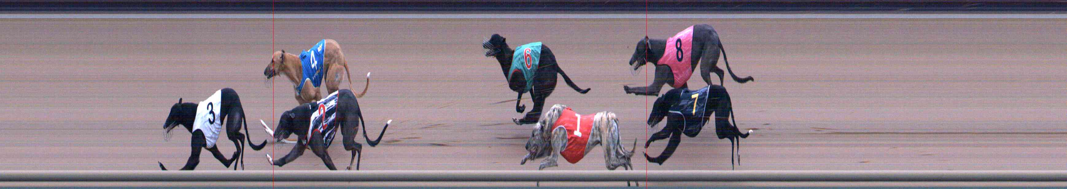Photo finish for Healesville Race 2