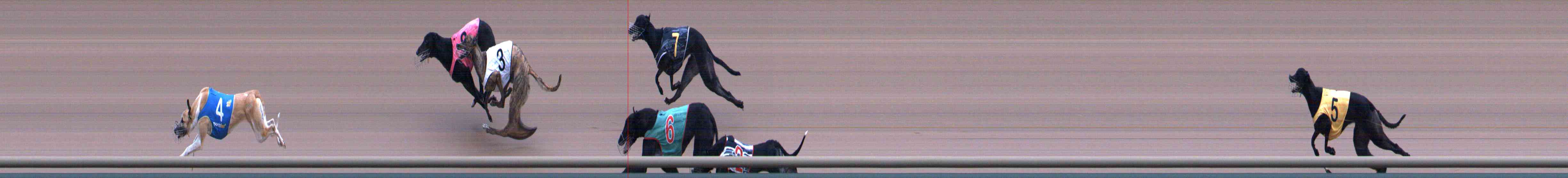Photo finish for Healesville Race 3