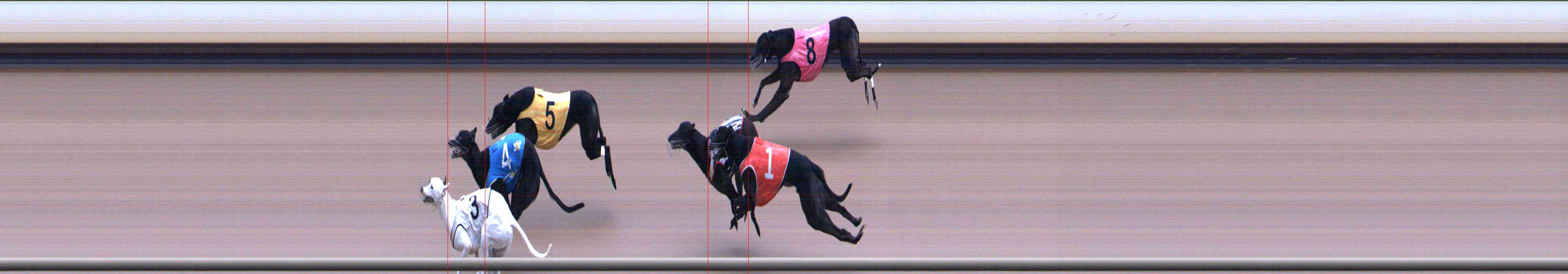 Photo finish for Healesville Race 4