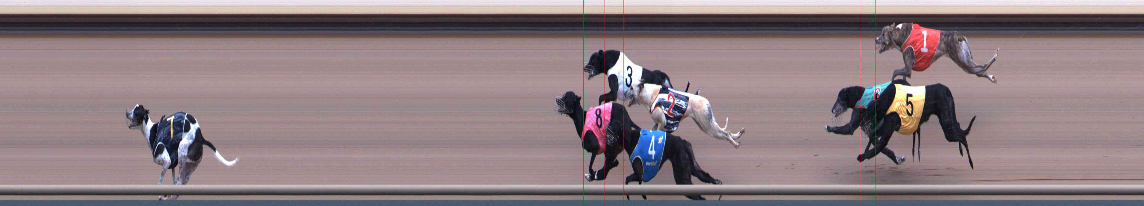 Photo finish for Healesville Race 5