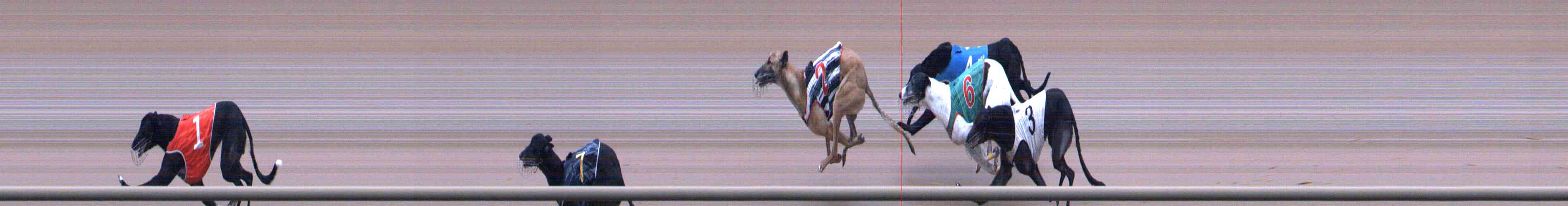 Photo finish for Healesville Race 6