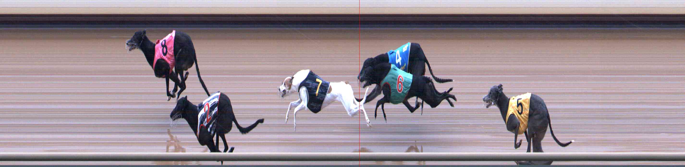 Photo finish for Healesville Race 7