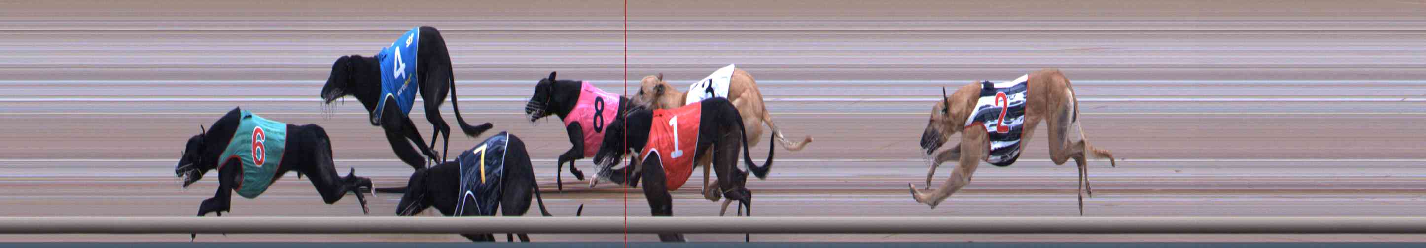 Photo finish for Healesville Race 8