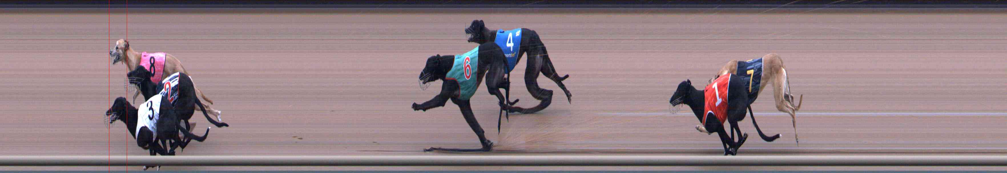 Photo finish for Healesville Race 9