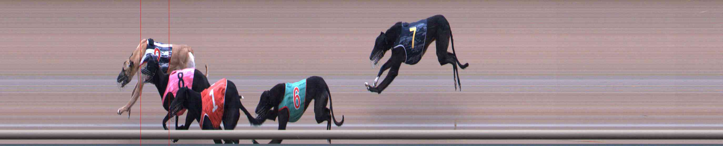 Photo finish for Healesville Race 10