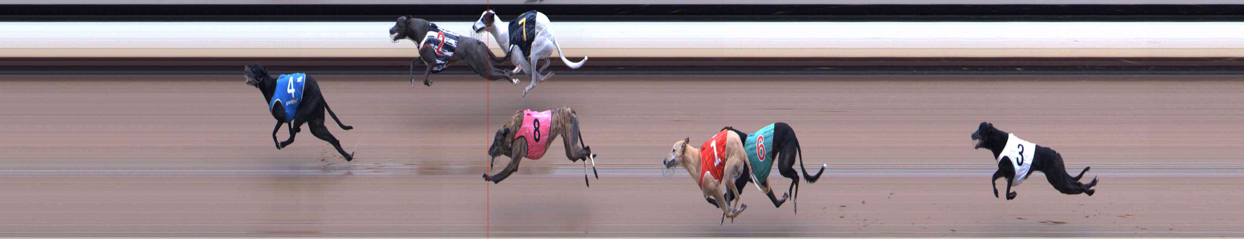 Photo finish for Healesville Race 11