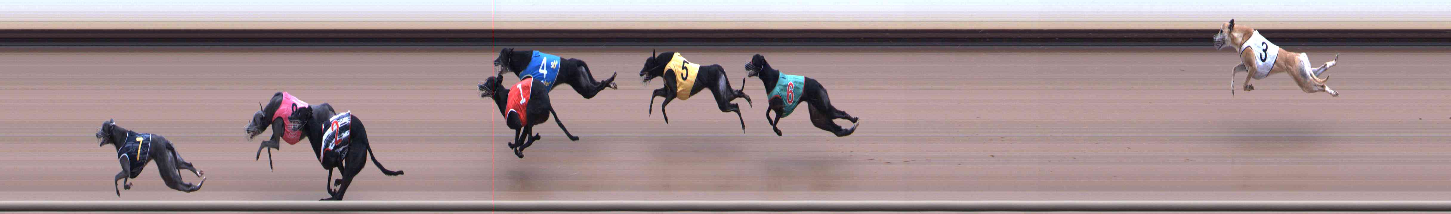Photo finish for Healesville Race 12