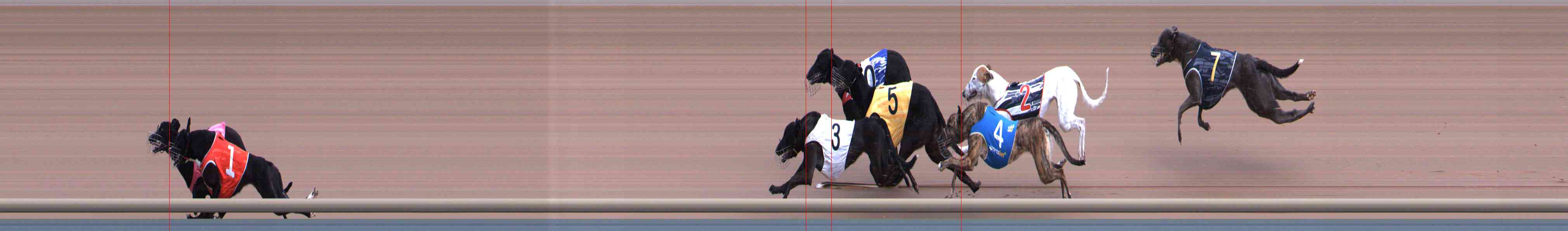 Photo finish for Healesville Race 1