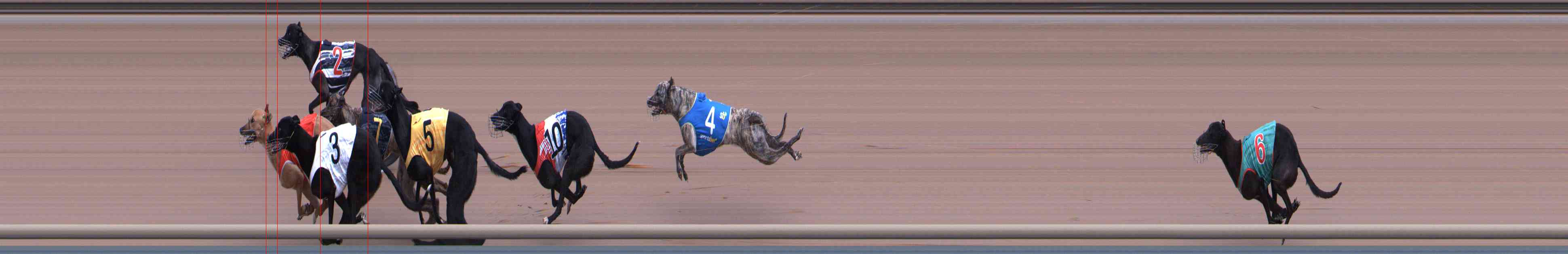 Photo finish for Healesville Race 2