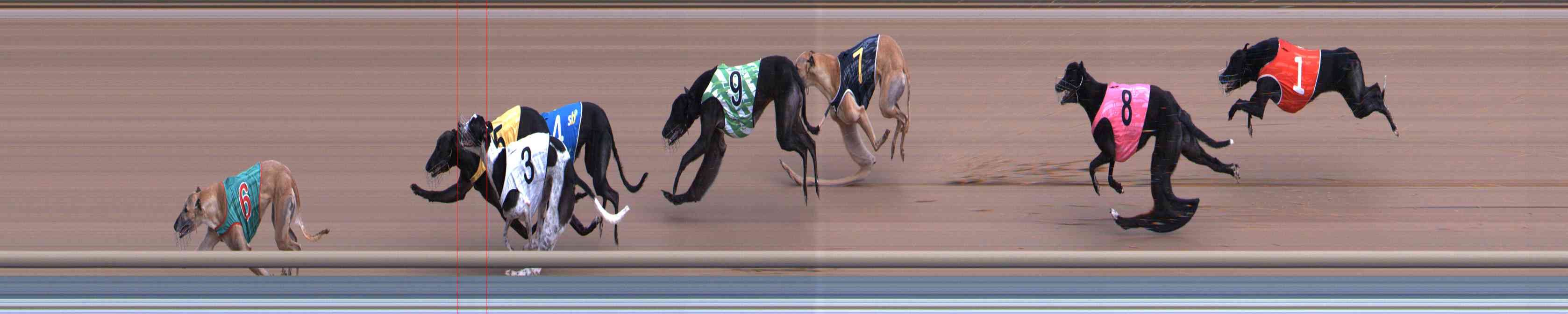 Photo finish for Healesville Race 3