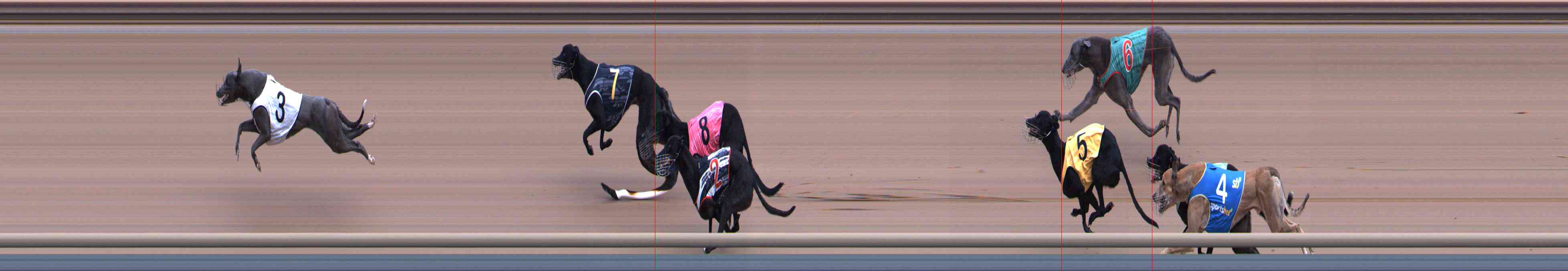 Photo finish for Healesville Race 4