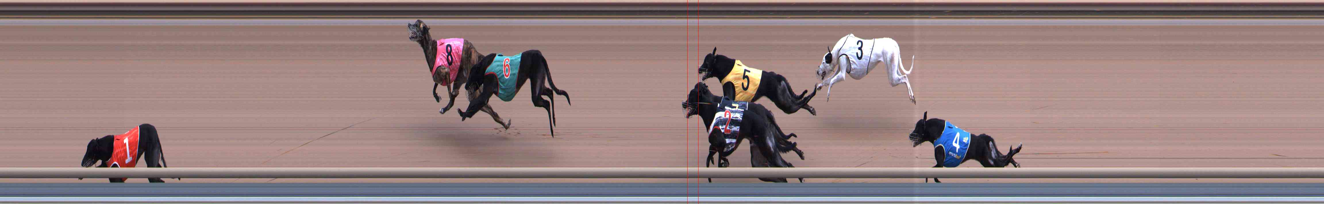 Photo finish for Healesville Race 5
