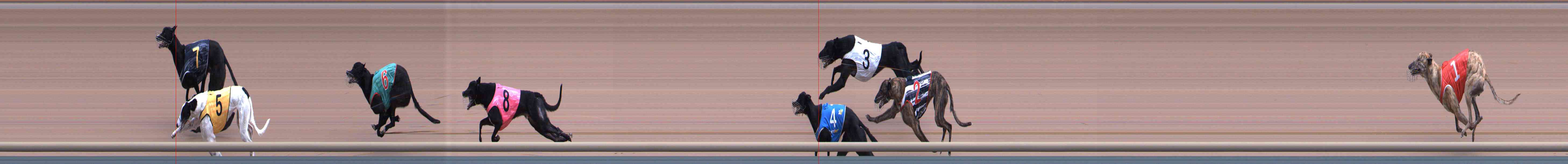 Photo finish for Healesville Race 6