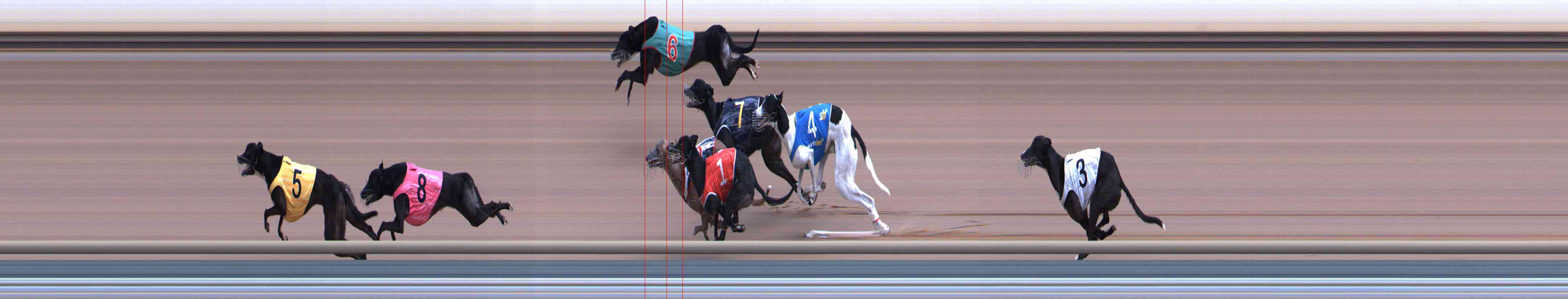 Photo finish for Healesville Race 7
