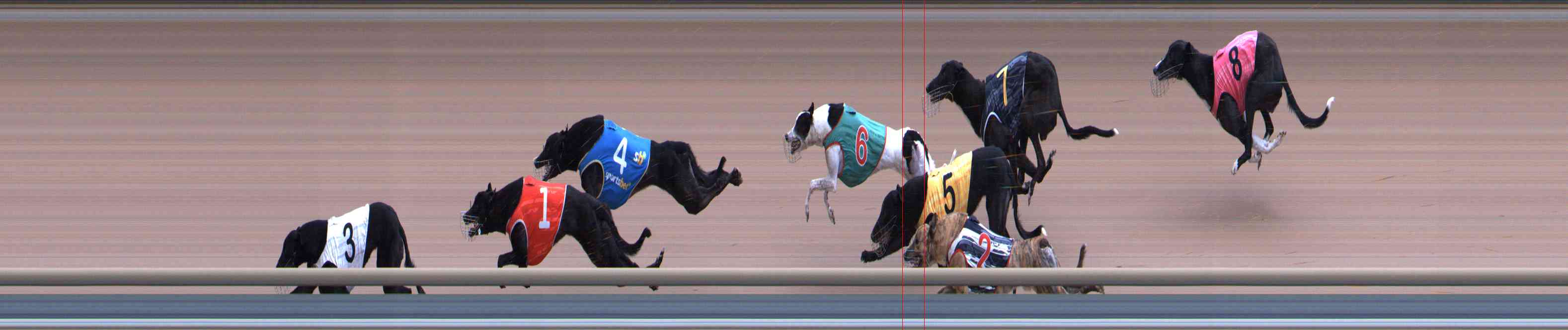 Photo finish for Healesville Race 8