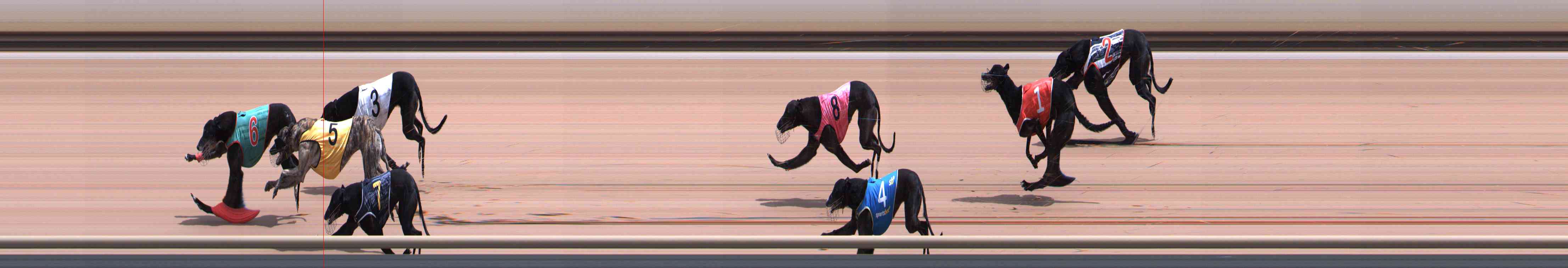 Photo finish for Healesville Race 9
