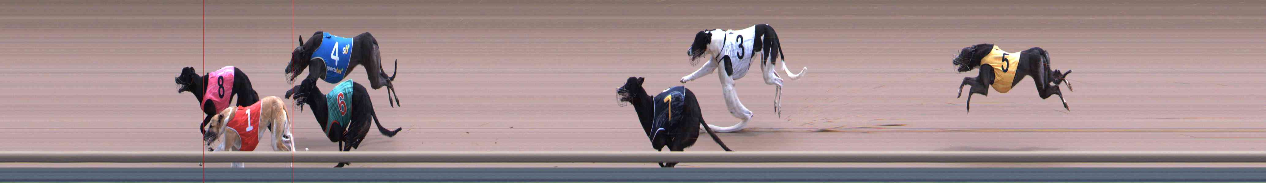 Photo finish for Healesville Race 10