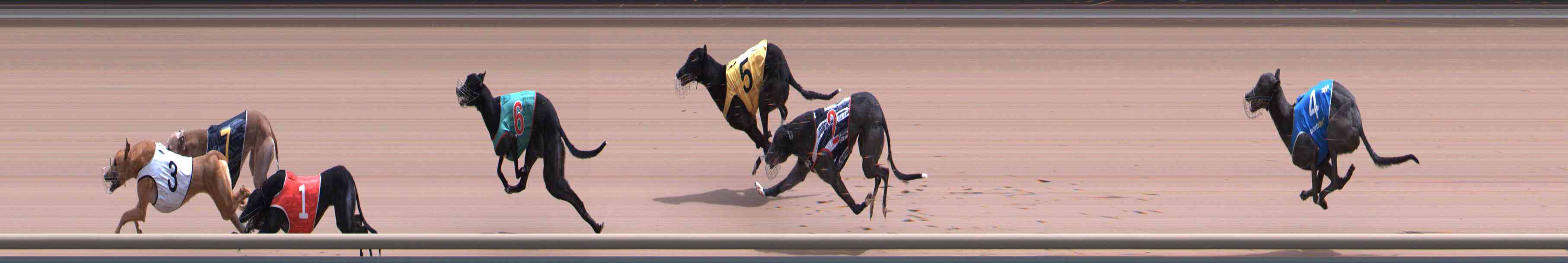 Photo finish for Healesville Race 11