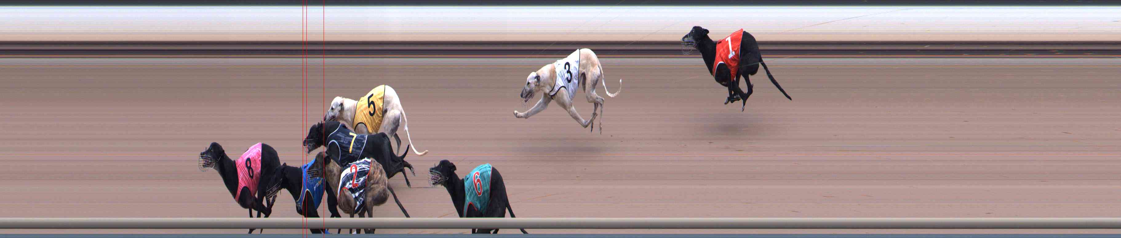 Photo finish for Healesville Race 12