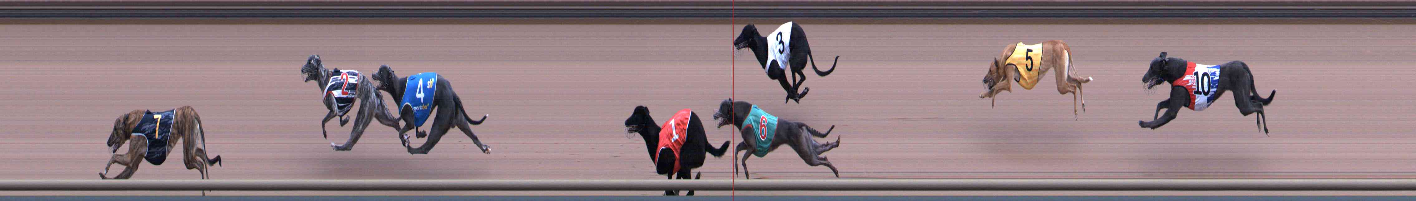 Photo finish for Healesville Race 1