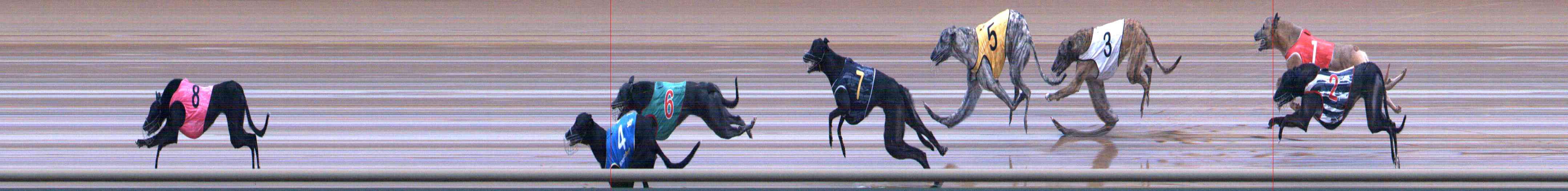 Photo finish for Healesville Race 2