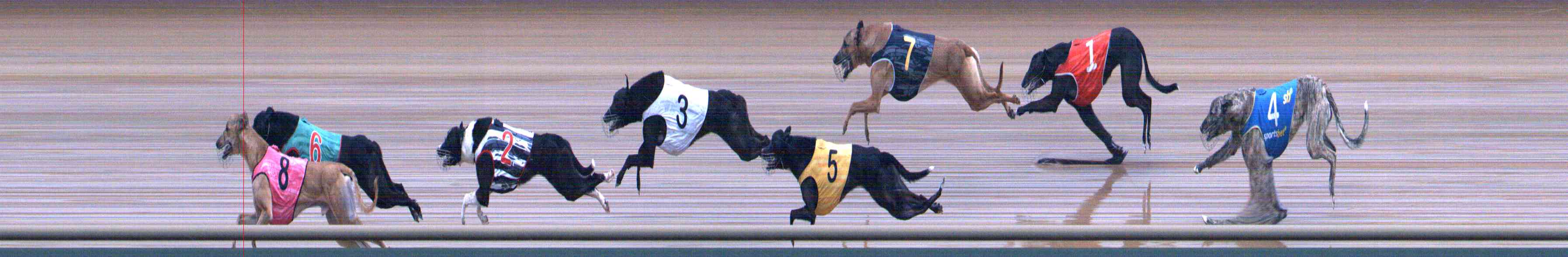 Photo finish for Healesville Race 3