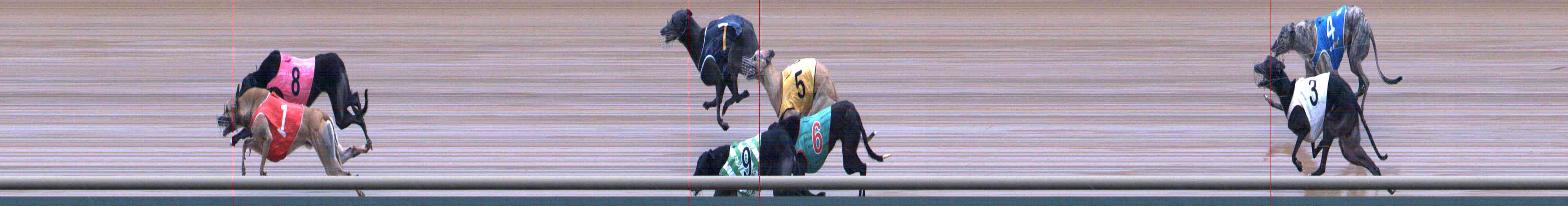 Photo finish for Healesville Race 4