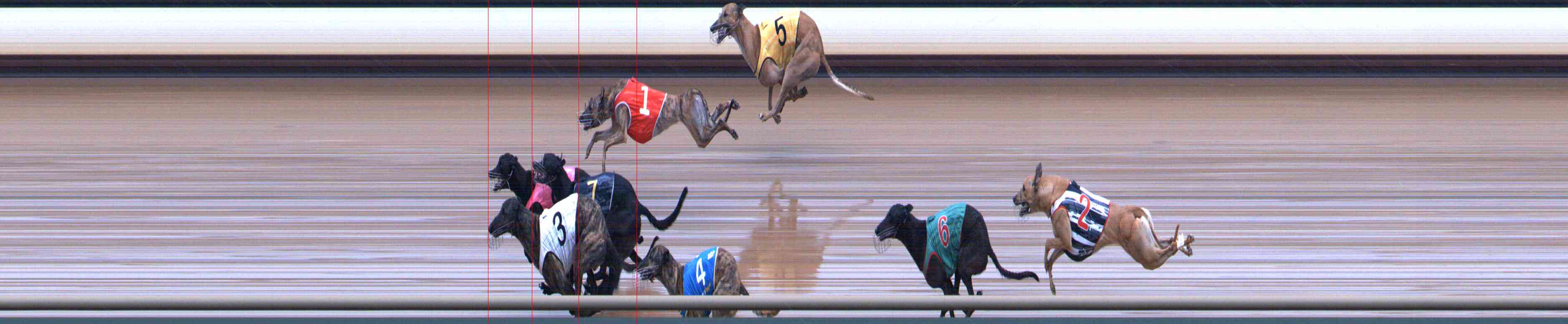 Photo finish for Healesville Race 5