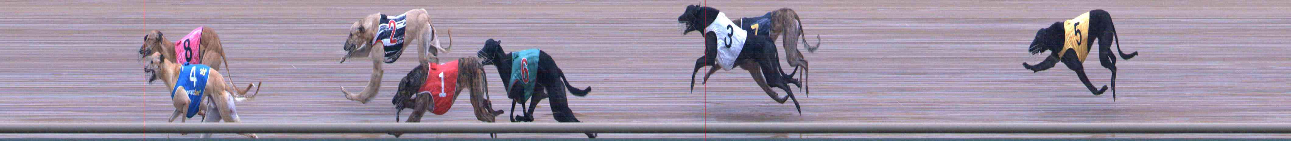 Photo finish for Healesville Race 6