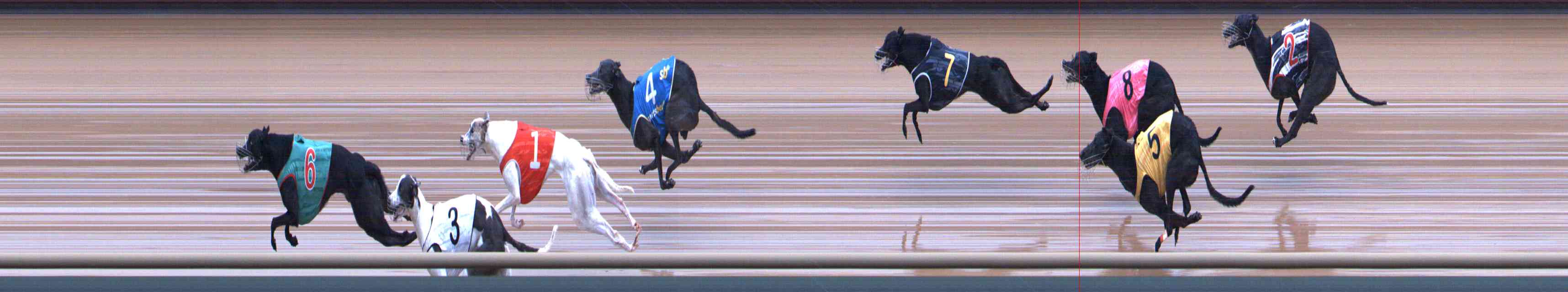 Photo finish for Healesville Race 7