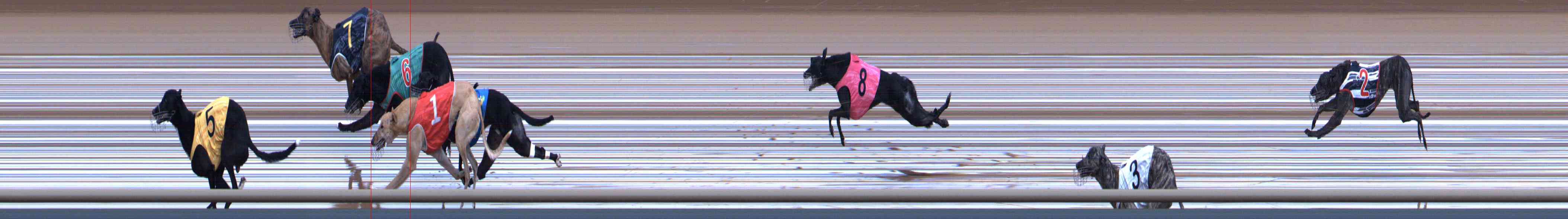 Photo finish for Healesville Race 8