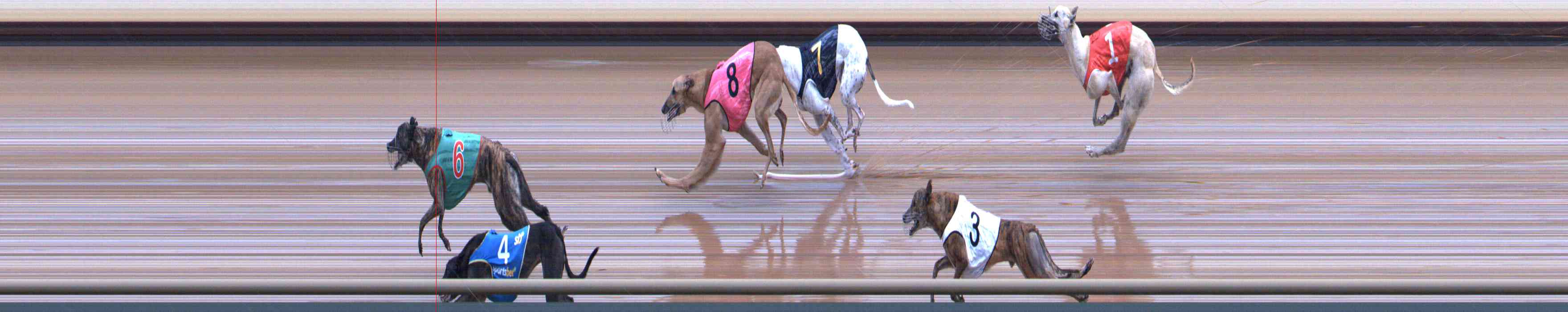Photo finish for Healesville Race 9