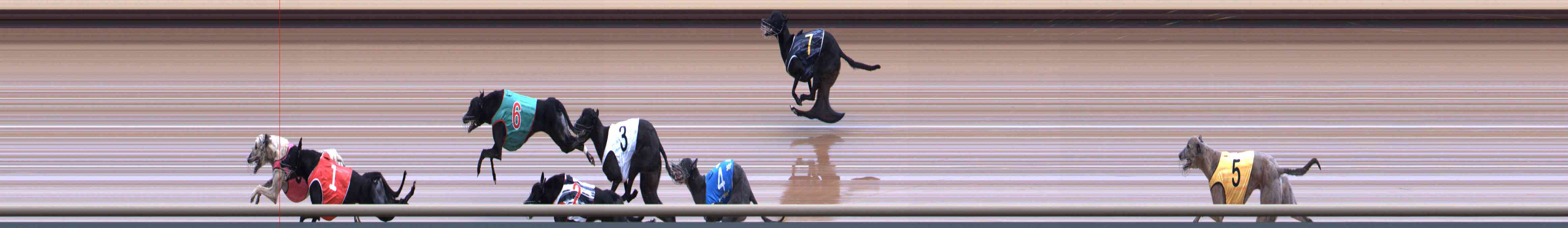 Photo finish for Healesville Race 10