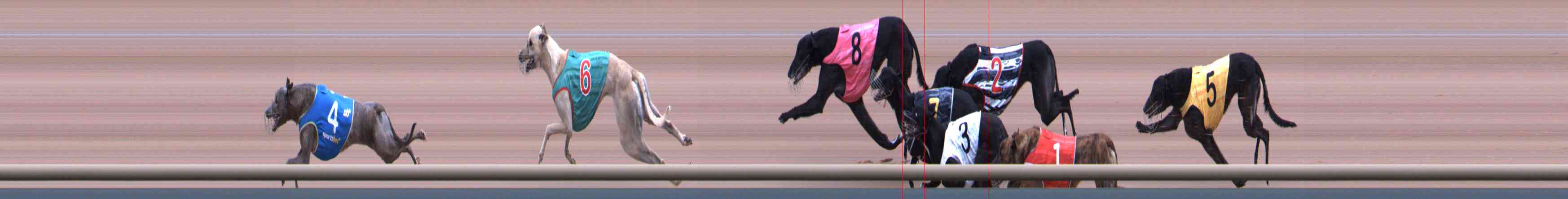 Photo finish for Healesville Race 11