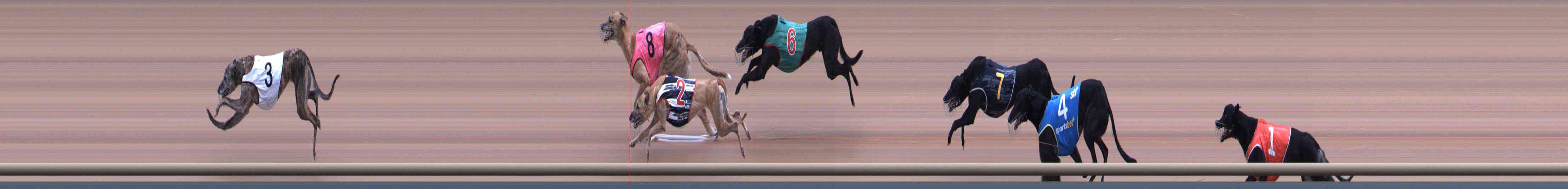 Photo finish for Healesville Race 12