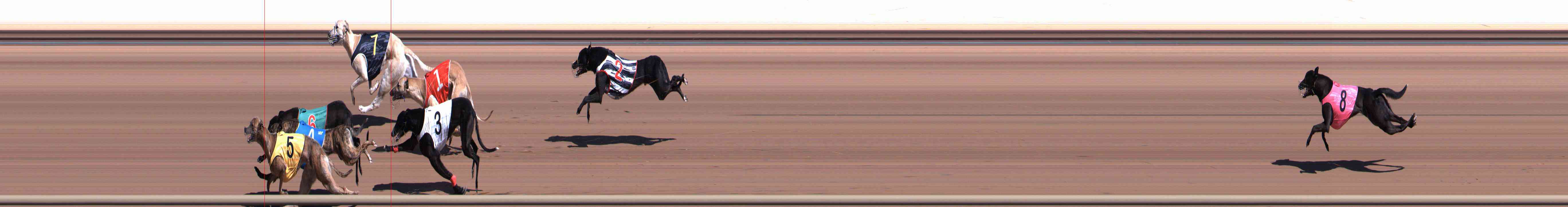 Photo finish for Healesville Race 1