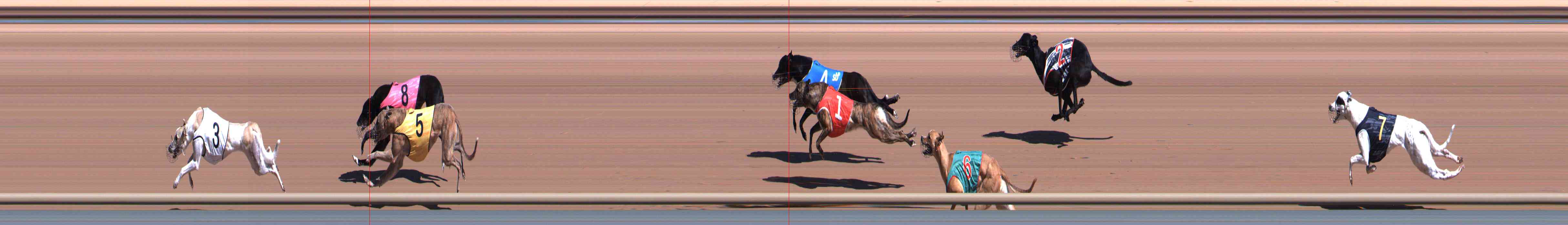 Photo finish for Healesville Race 2