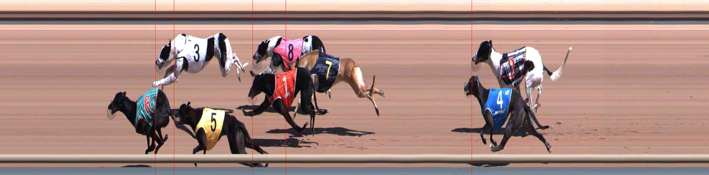Photo finish for Healesville Race 3