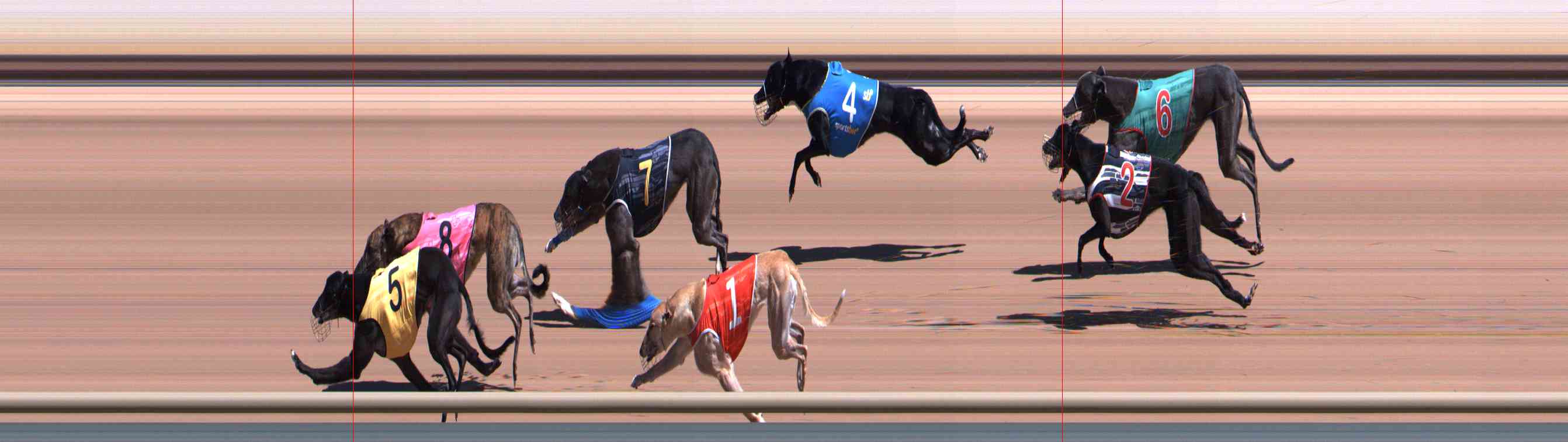Photo finish for Healesville Race 4