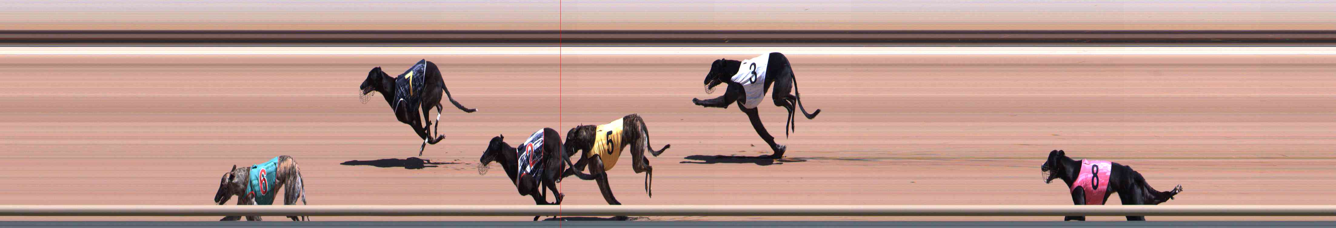 Photo finish for Healesville Race 5