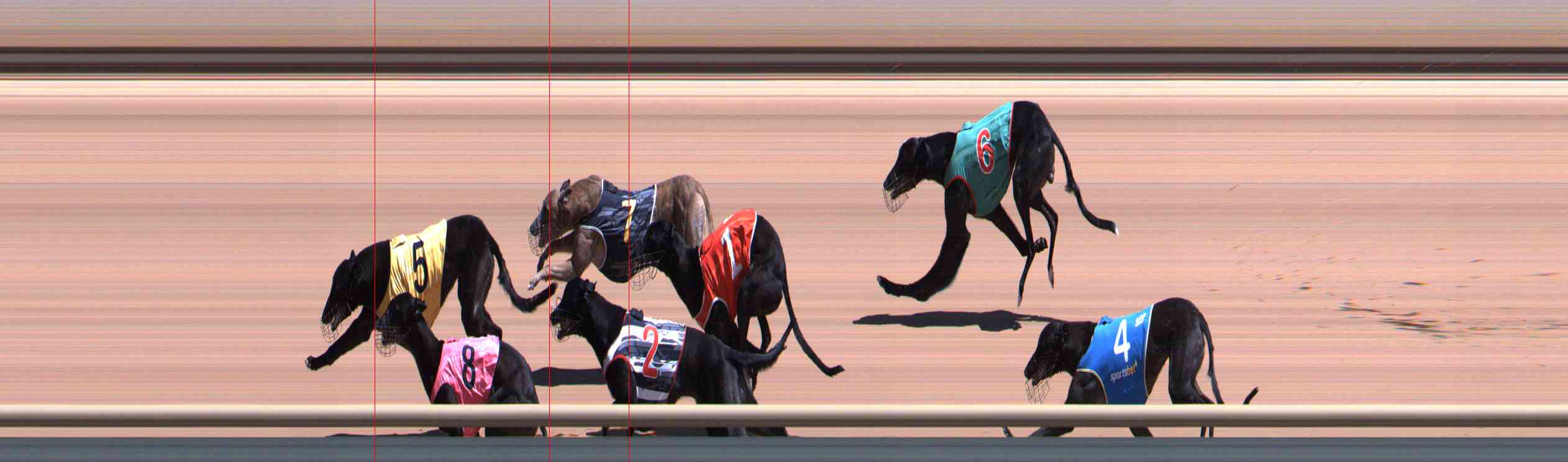 Photo finish for Healesville Race 6