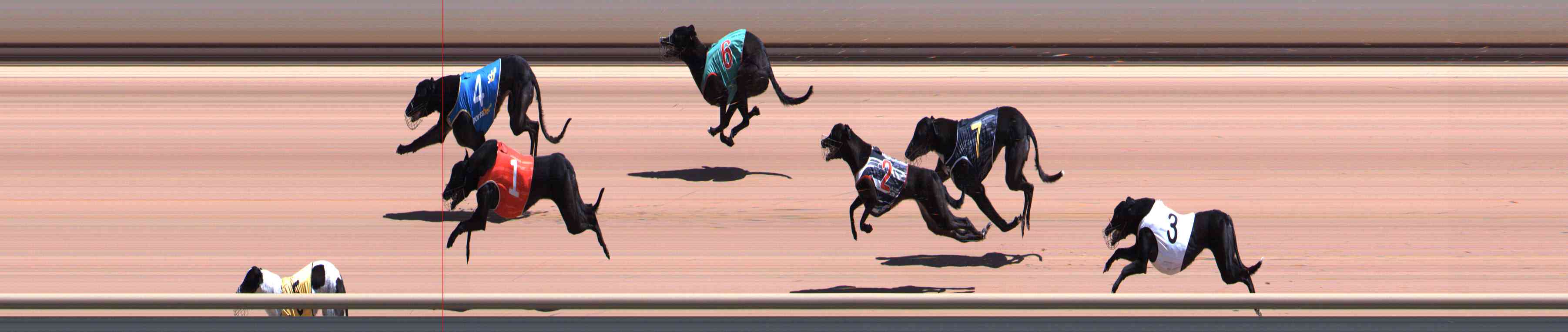 Photo finish for Healesville Race 7