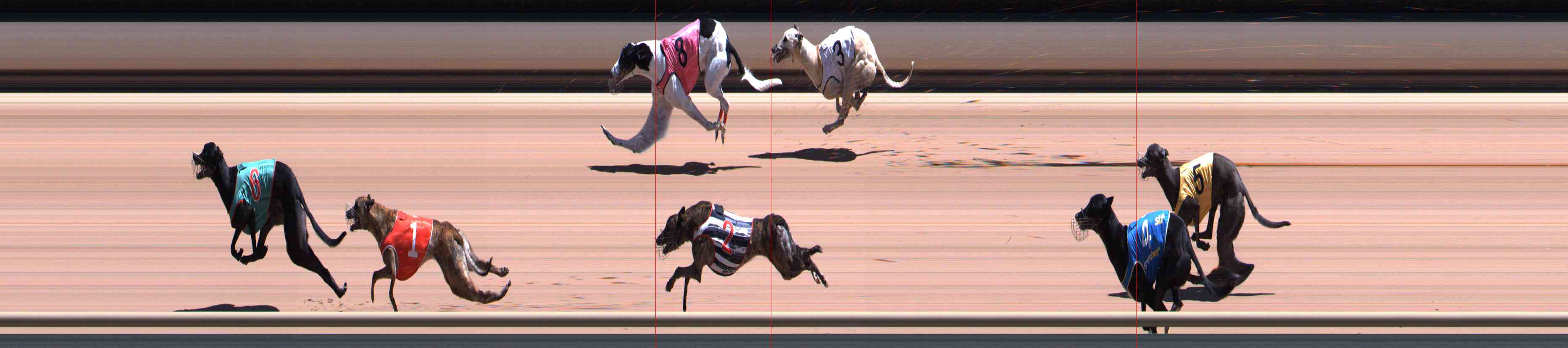 Photo finish for Healesville Race 8