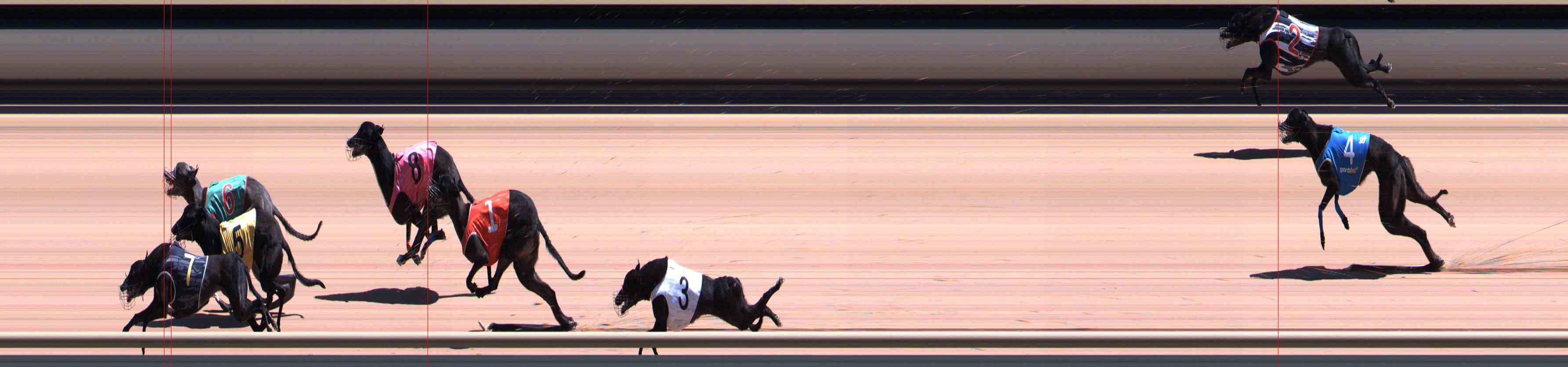 Photo finish for Healesville Race 9