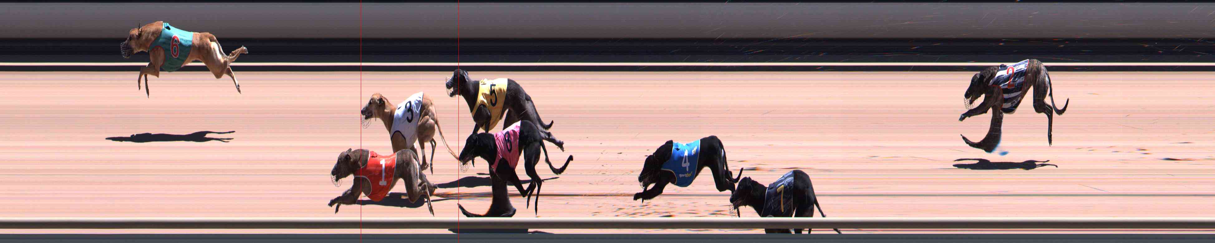 Photo finish for Healesville Race 10